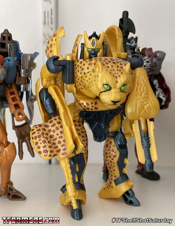 Beast Wars Fox Kids Repaints   TFShelfShotSaturday  (3 of 11)